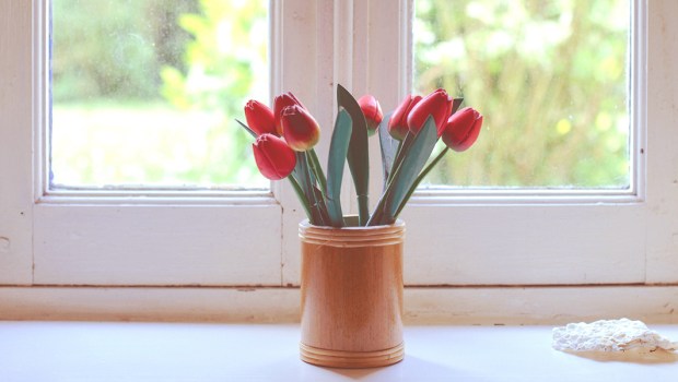 WINDOW