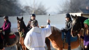 Priest blessing horses