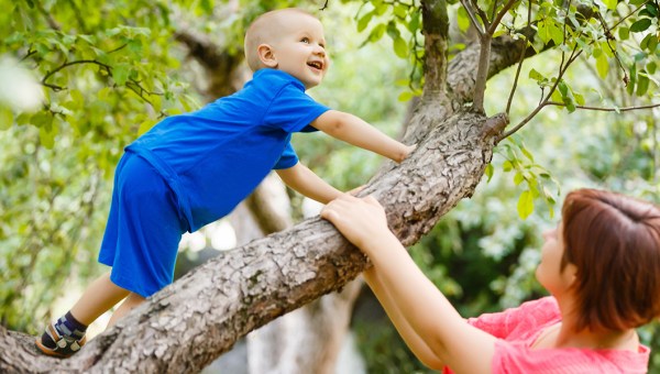 Child in Tree