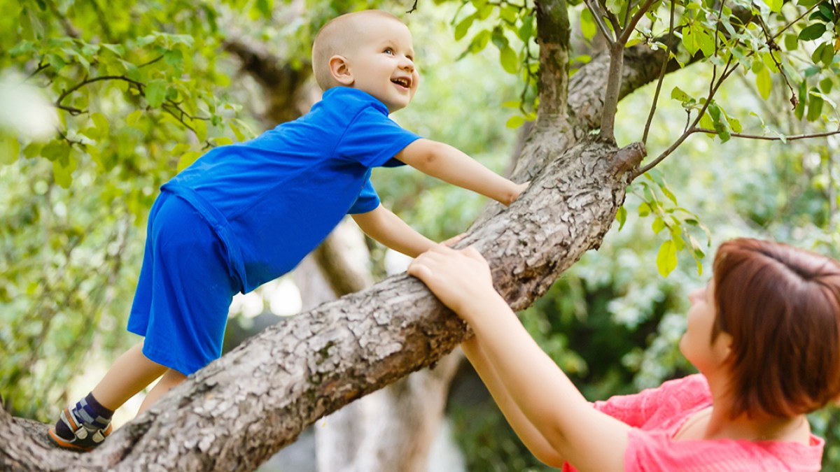 Child in Tree