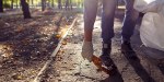 PLOGGING