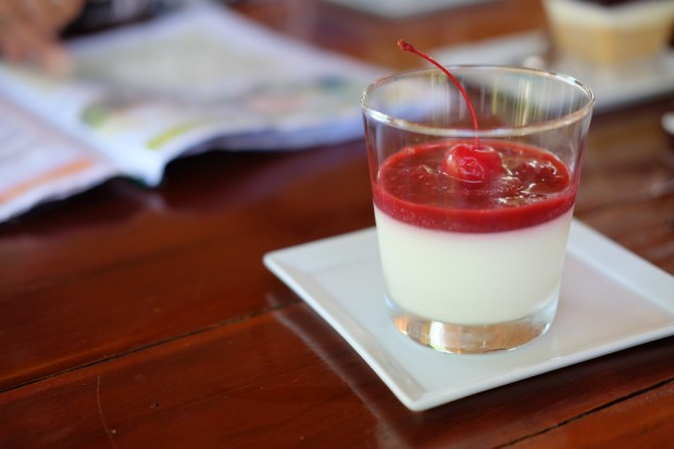 CHEESECAKE, CHERRY, RED