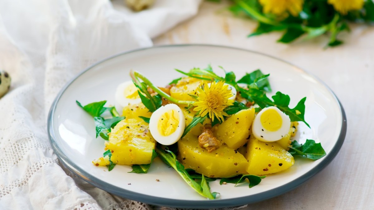 WEB3-DANDELION-SALAD-RECIPIE-FOOD-SHUTTERSTOCK