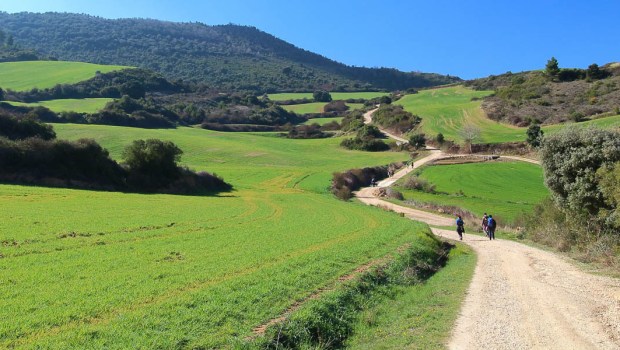 PILGRIMS WALKING;SPAIN