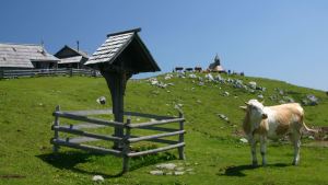 VELIKA PLANINA SLOVENIA