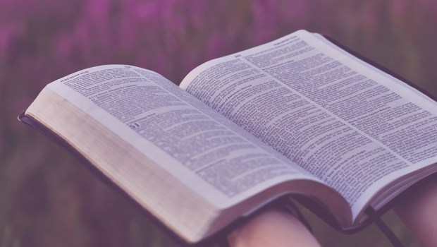 BIBLE