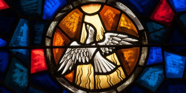 HOLY,SPIRIT