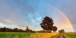 RAINBOW FIELD