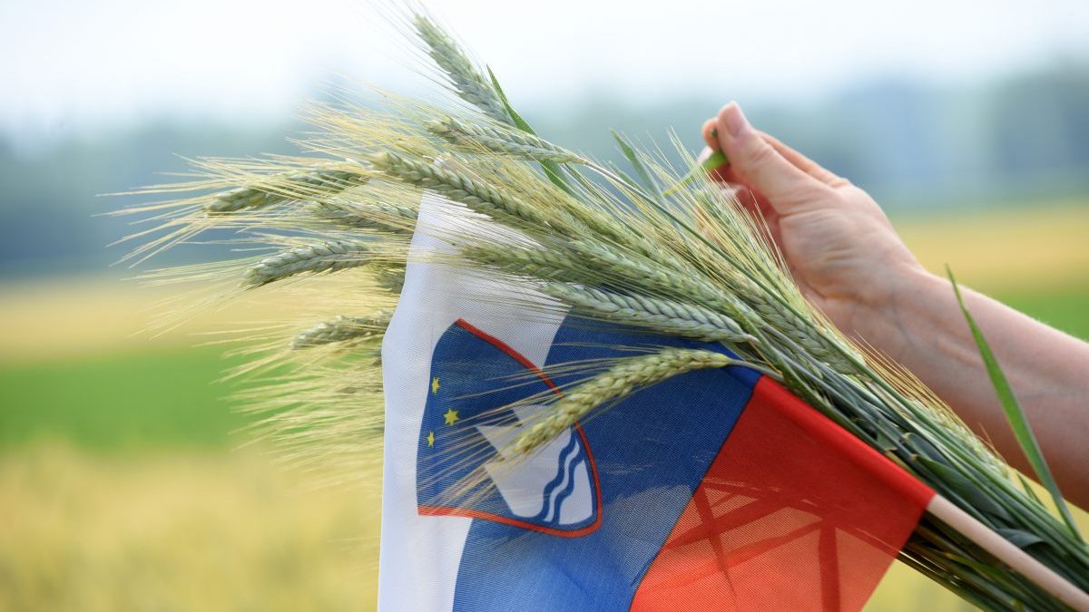 FLAG SLOVENIA