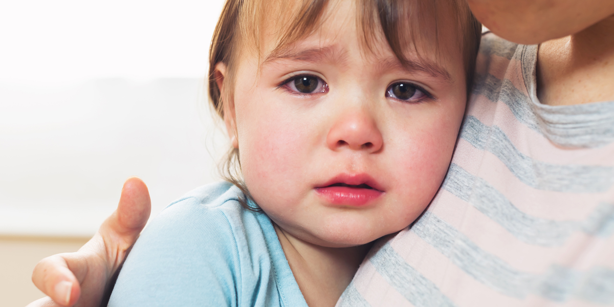 TODDLER,MELTDOWN