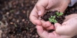 SEED