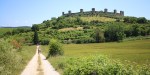 VIA FRANCIGENA