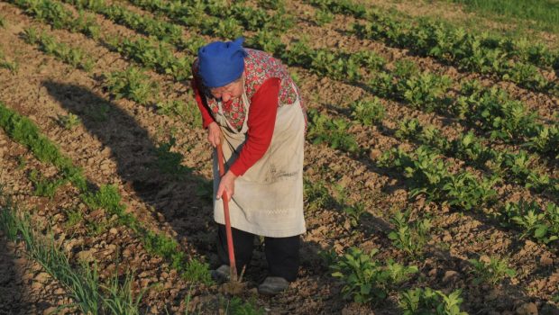 WOMAN WORKING