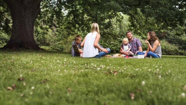 FAMILY,PICNIC