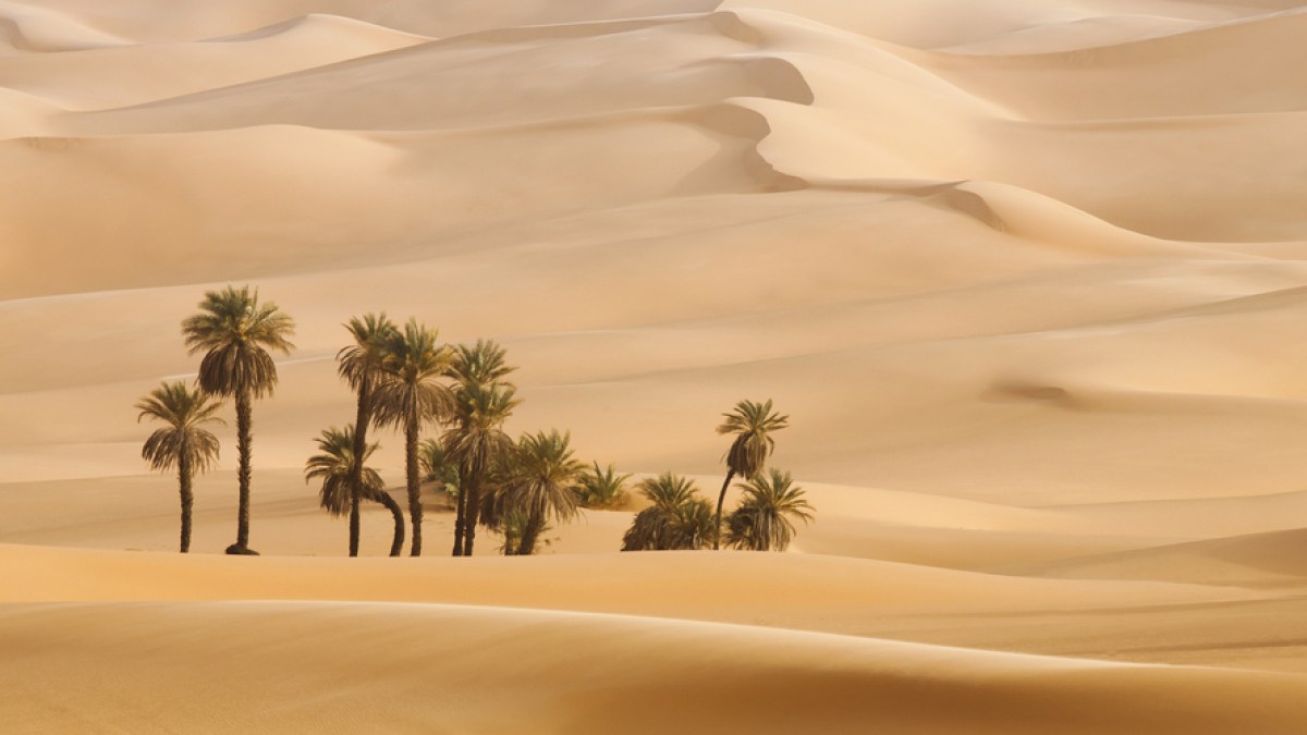 DUNES DESERT