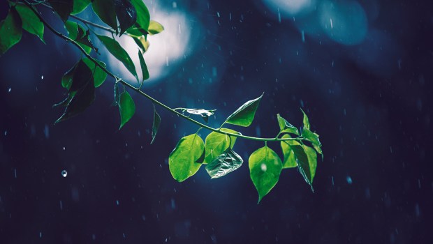 RAIN