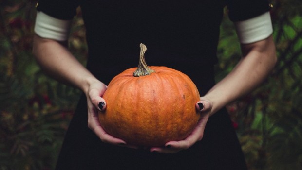 WOMAN HOLDING PUMPKIN