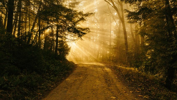 LIGHT