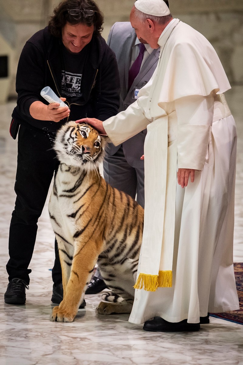 Papež Frančišek v nepredvidljivih situacijah