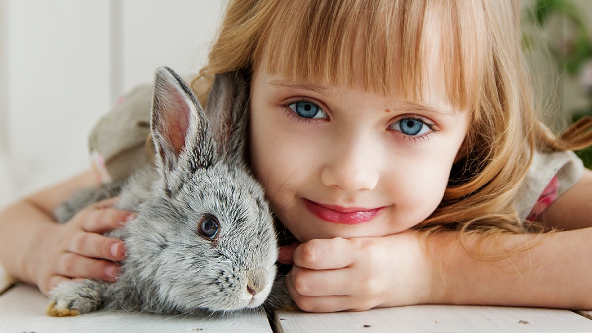 BUNNY