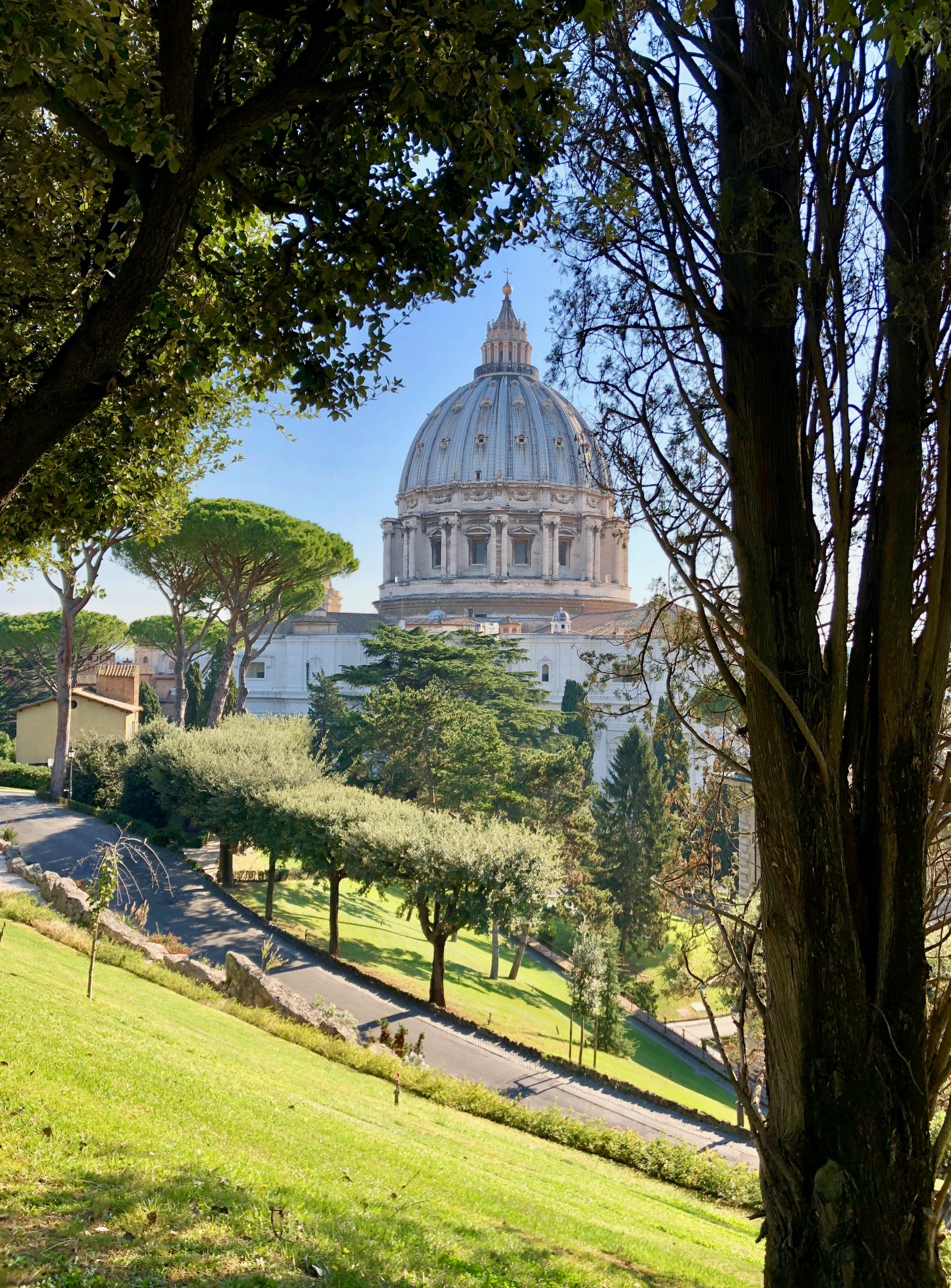 ST PETER'S BASILICA; VATICAN GARDENS