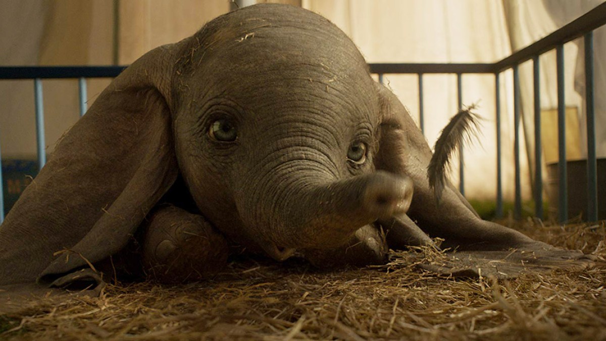 DUMBO