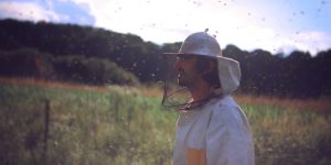 “Po marsičem bi se tudi mi lahko zgledovali po čebelah”