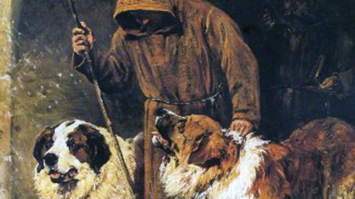 SAINT BENARD DOGS