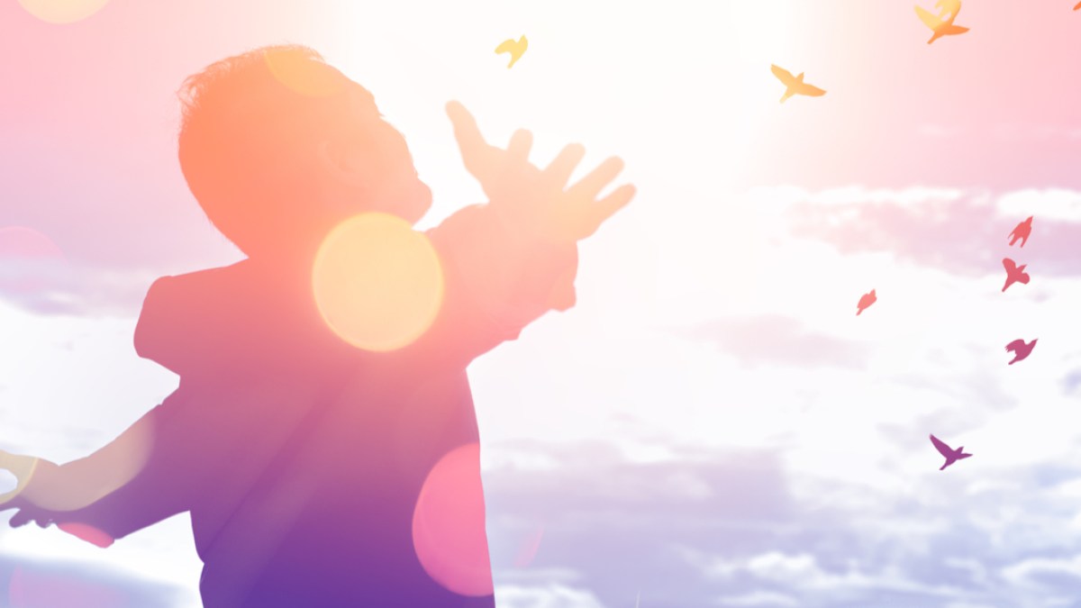 MAN, SKY, FREEDOM