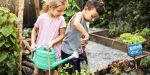 GARDENING