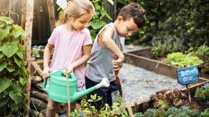 GARDENING