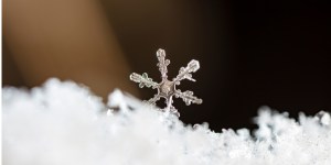 Narava je polna genialnosti, polna Božjega. Tako niti snežinka ne ubeži roki oblikovalca.