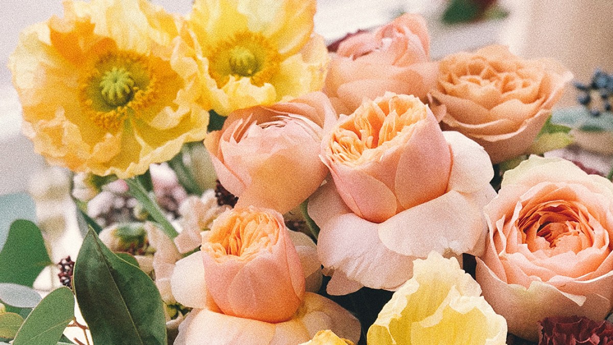 FLOWERS