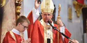 &#8220;Duhovnikov ne dela škof, ampak jih rodijo družine in vzgojijo župnije&#8221;