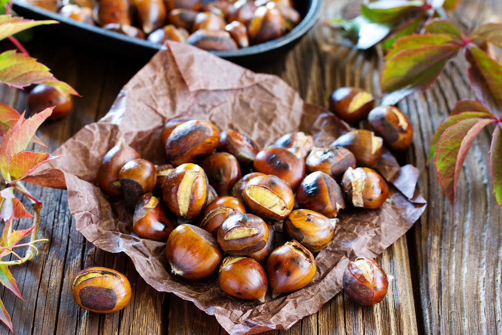 CHESTNUT