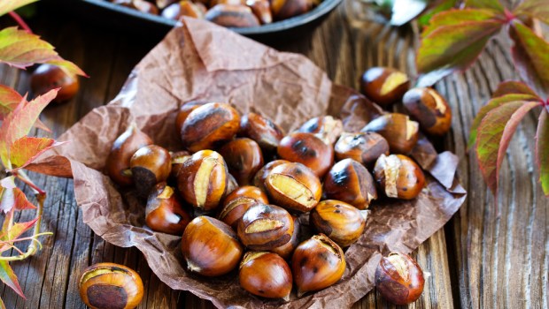 CHESTNUT