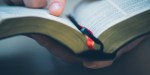 BIBLE READING