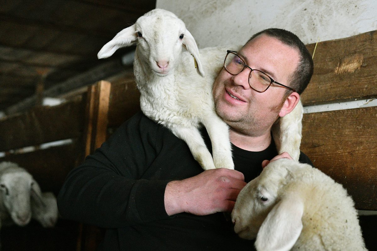 TAMINO PETELINŠEK
