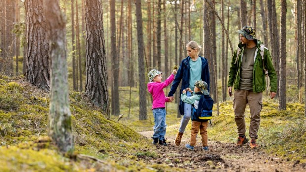 rodzinny spacer w lesie