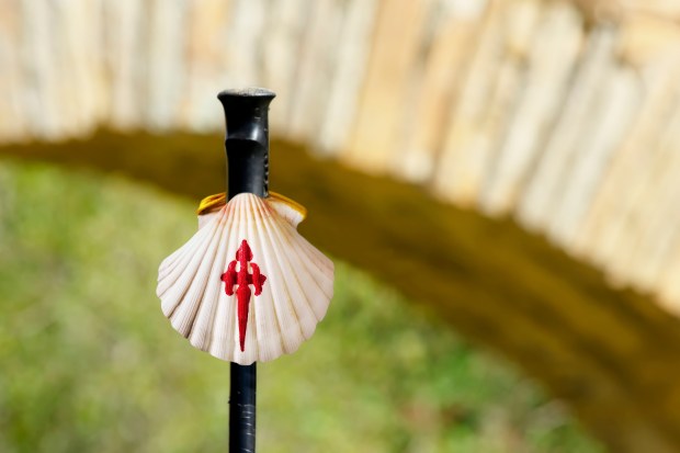 COMPOSTELA