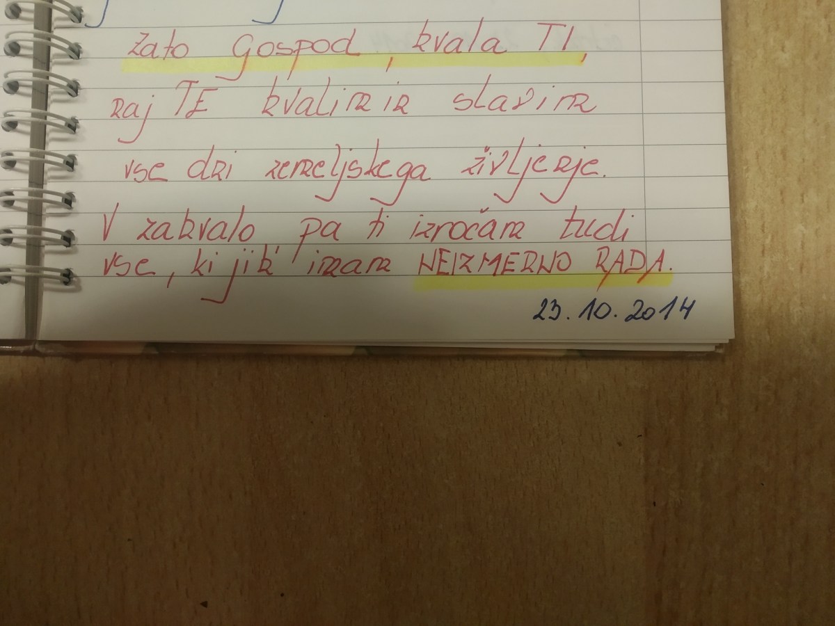 Jozica Atelsek izpis iz dnevnika
