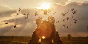 Če bomo bežali iz svoje realnosti, ne bomo rešili ničesar