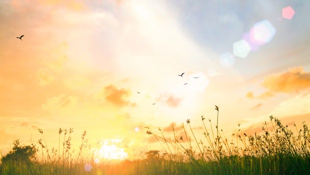 Sunrise