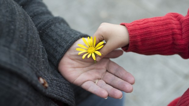 Giving flower
