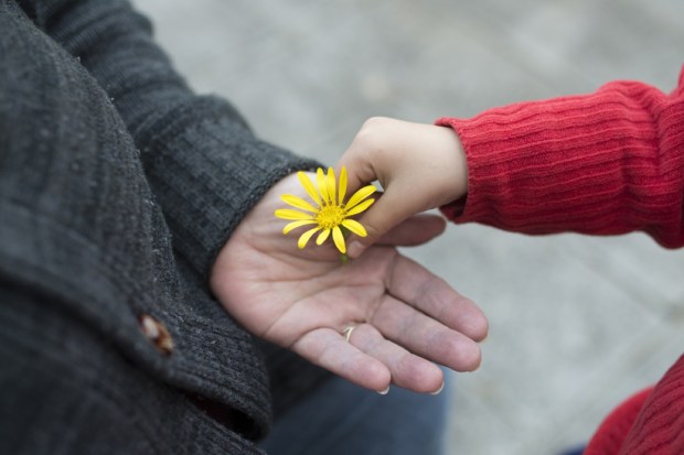 Giving flower