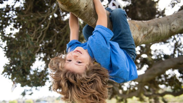 Kids climbing trees hanging upside down on a tree in a park Child protection