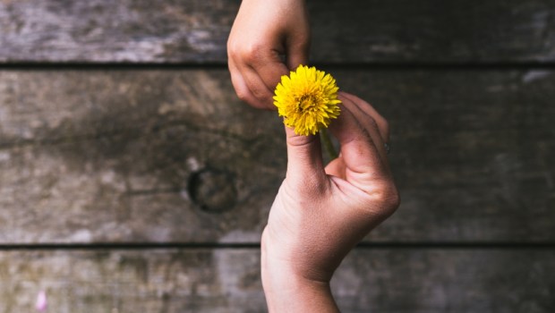 giving flower | Shutterstock