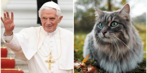 Papež Benedikt XVI. ni skrival svoje ljubezni do mačk