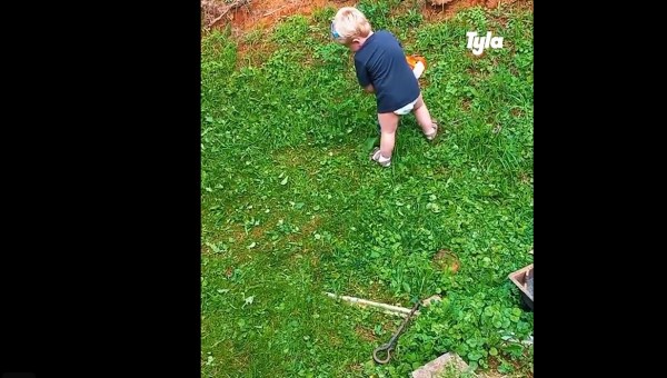 boy weeding garden