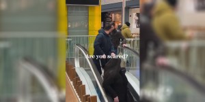 Družbeni eksperiment, ki kaže najboljšo plat človečnosti. Kako bi ukrepali vi?